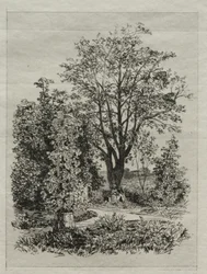 Mi jardín