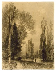 Paisaje fluvial al atardecer
