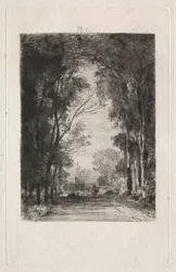 Viajero en un camino en un bosque