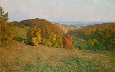 Viena desde el Kobenzl