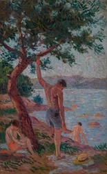 Saint-Tropez, bañistas bajo el pinar