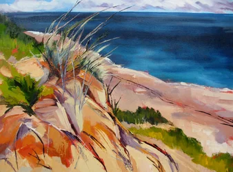 Hierba de playa y dunas