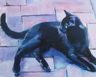 Gato negro, suelo morado