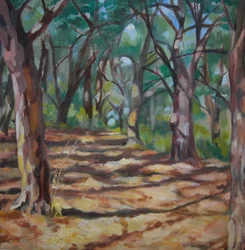 Sendero boscoso salpicado de luz