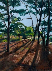 Sendero forestal, largas sombras