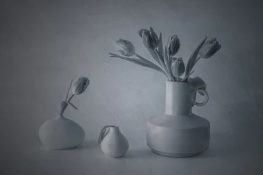 Tulipanes en un bodegón melancólico