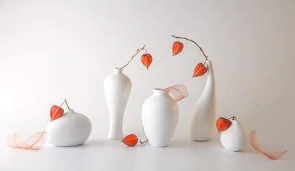 Bodegón con physalis naranja