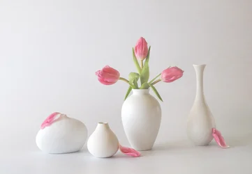 Tulipanes rosas en jarrones