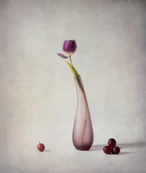 Bodegón con tulipán morado