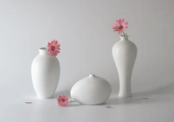 Jarrones florales serenos