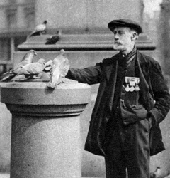 Un viejo soldado con algunas palomas, Trafalgar Square, Londres