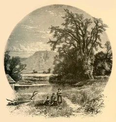Praderas de Northampton