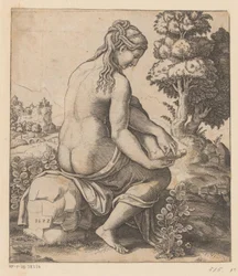 Venus y la rosa