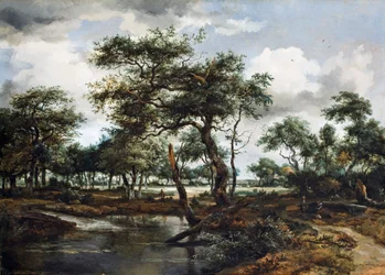 Un estanque en el bosque, 1668