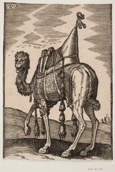 Un camello ensillado