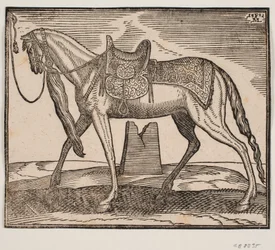 Caballo elegante ensillado, atado a la línea del marco izquierdo, perfil hacia la izquierda; bajo el vientre del caballo se ve una ruina
