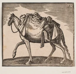 Caballo muy cargado