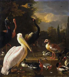 Un pelícano y otras aves cerca de un estanque, conocido como "La pluma flotante