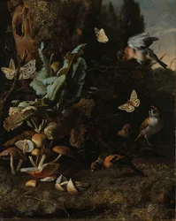 Animales y plantas