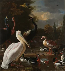 Un pelícano y otras aves junto a una fuente, conocido como 