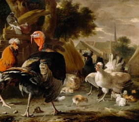 Corral de aves de corral