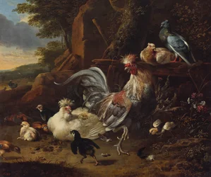 Gallo, gallinas y otras aves en un corral