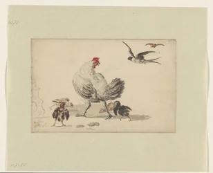 Dos golondrinas y una gallina con cuatro polluelos
