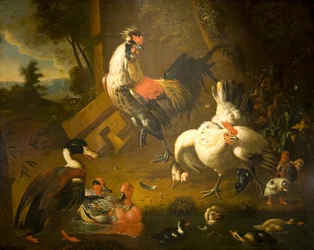 Un gallo con una gallina y tres patos