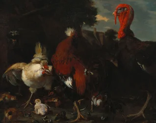 Una gallina, un gallo y un pavo en un corral