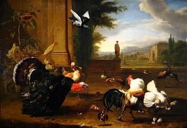 Un pavo, un gallo y un gallito, y otras aves exóticas en un parque