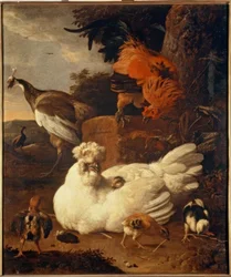 Gallina con pollitos