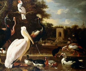 Muchos tipos diferentes de aves en un estanque en un parque