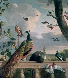 Palacio de Ámsterdam con aves exóticas