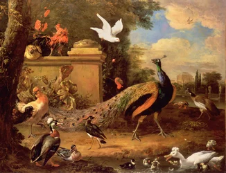 Pavos reales y otras aves junto a un lago