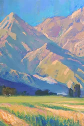 Un valle de montaña lleno de vida