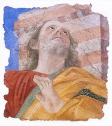 Cabeza de apóstol, hacia 1480 (fresco)