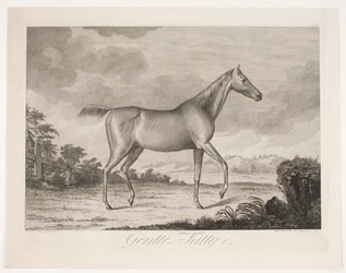 El caballo "Gentle Kitty"
