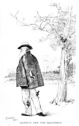 Darwin y las ardillas, ilustración de Charles Darwin, su vida y obra por Charles Frederick Holder, 1899