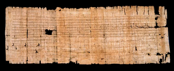 Período merovingio: manuscrito de documento legal en papiro que confirma el privilegio de inmunidad otorgado por el Rey de Neustria Clodoveo II (633-657) a la Abadía de Saint Denis el 22/06/654