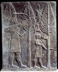 Escena de caza de aves. Bajo relieve en alabastro del Palacio de Sargón II o Sharroukin, Rey de Asiria en Khorsabad (Khunsabad) (Mesopotamia), Irak. 722-705 a.C.