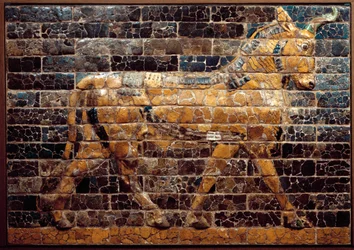 Mesopotamia: «Toro en movimiento». Ladrillos esmaltados de la Puerta de Istar. Babilonia (Irak) en tiempos del rey Nabucodonosor II. Museo Nacional de Irak, Irak