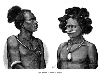 Tipos Papúes