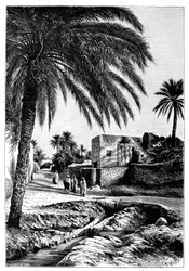 Una calle en Biskra, Argelia, 1895