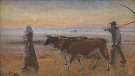 Vacas siendo conducidas a través del páramo