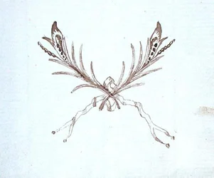 Dibujo del álbum de recortes de Michael Faraday (pluma y tinta sobre papel)