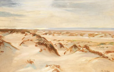 Dunas, Skagen.