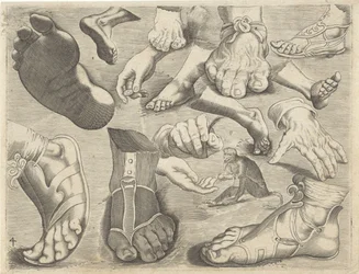 Hoja de estudio con ejemplos de dibujo: manos, pies y un mono
Ejemplos de dibujos (título de la serie)