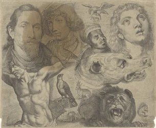 Hoja de estudio con ejemplos de dibujo: cabezas, torso y animales
Ejemplos de dibujos (título de la serie)
