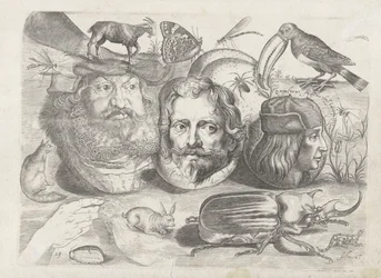 Hoja de ejercicios con ejemplos de dibujo: retratos, animales, insectos