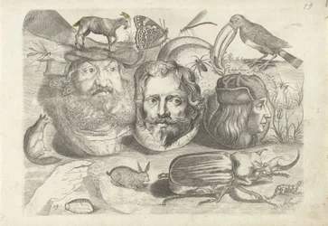 Hoja de ejercicios con ejemplos de dibujo: retratos, animales, insectos